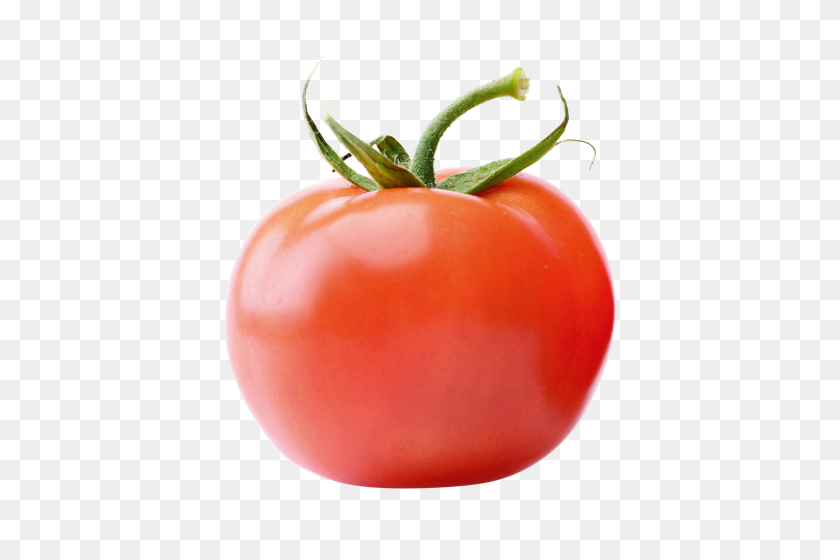 500x500 Tomato - Tomato PNG
