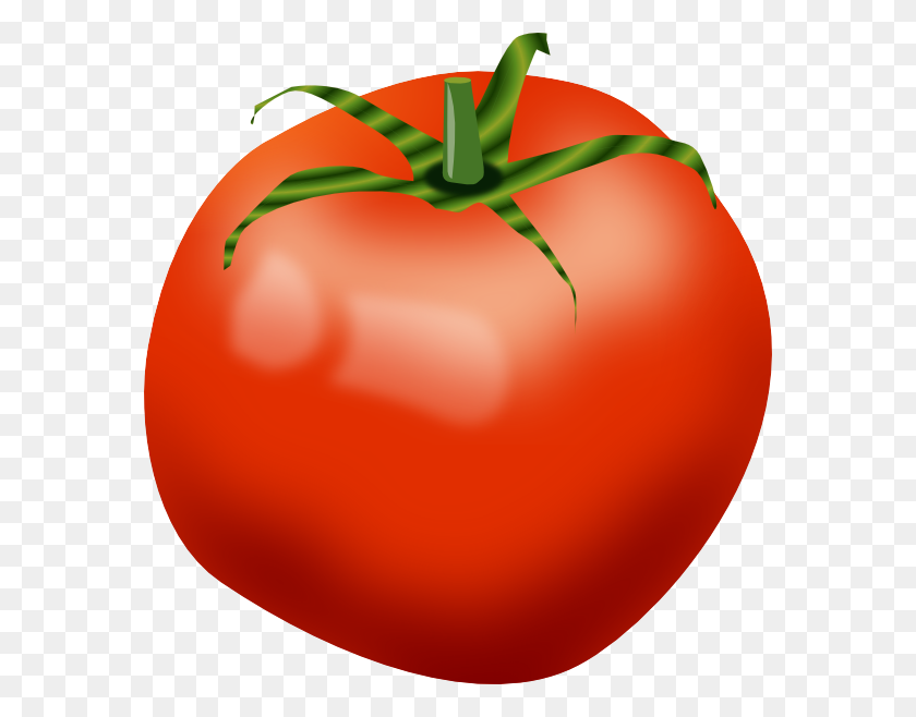 576x598 Tomato Clip Art Cartoon Png - Tomatoe PNG