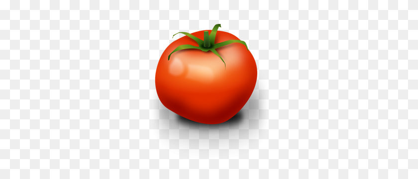 286x300 Tomato Clip Art Vector - Veggie Clipart