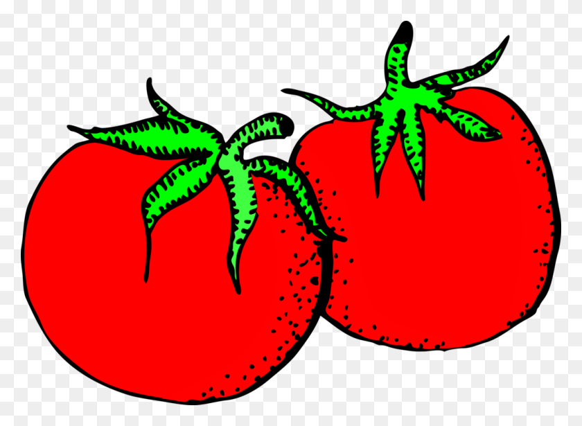 1054x750 Tomato Fruit Drawing Food Graphic Arts - Tomato Plant Clipart