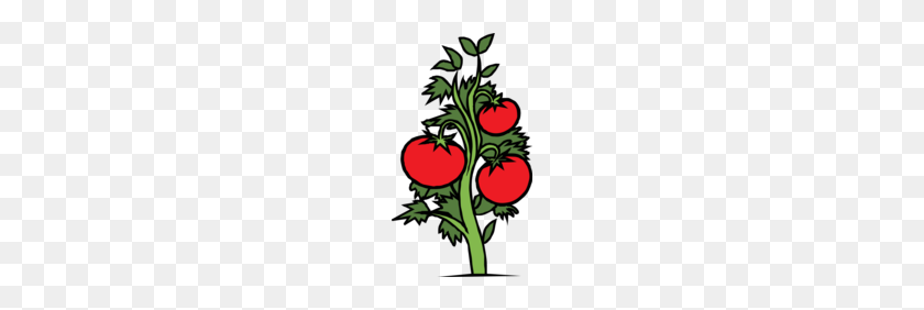 Tomato Plant Clipart Tomato Plant Png Stunning Free Transparent Png Clipart Images Free Download,Bird Wings Png