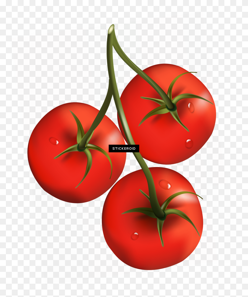 2717x3294 Tomato Png - Tomato PNG