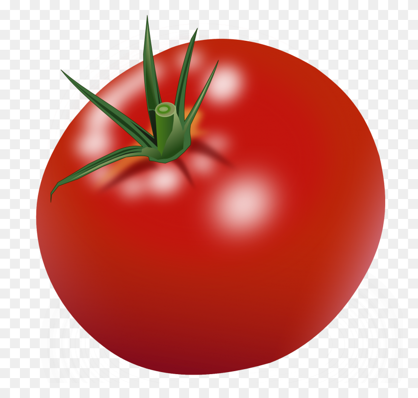 1694x1608 Tomato Png Clipart Png Image - Tomato PNG