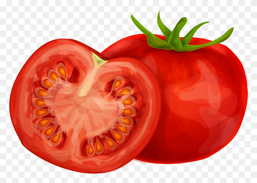 1879x1294 Tomato Png Images Transparent Photos Png Only - Tomato PNG