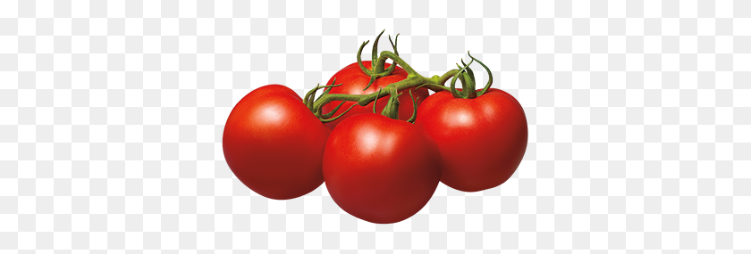 345x225 Tomate Png