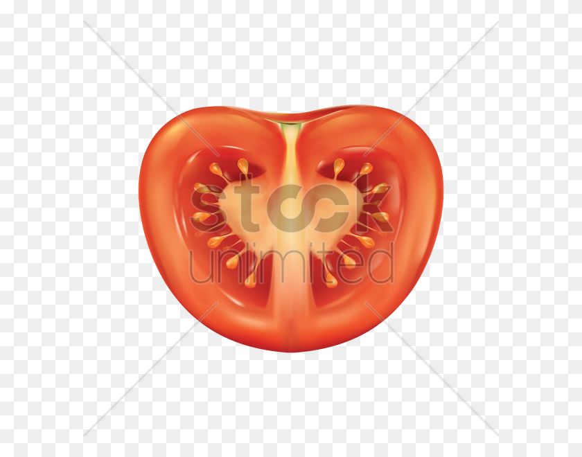600x600 Tomato Slice Vector Image - Tomato Slice PNG