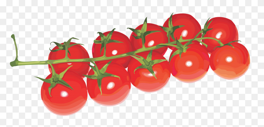 5000x2223 Tomatoes Cherry Png - Tomato PNG