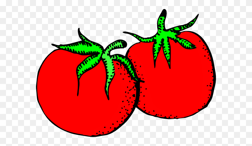 600x427 Tomatoes Clip Art - Tomato Clipart