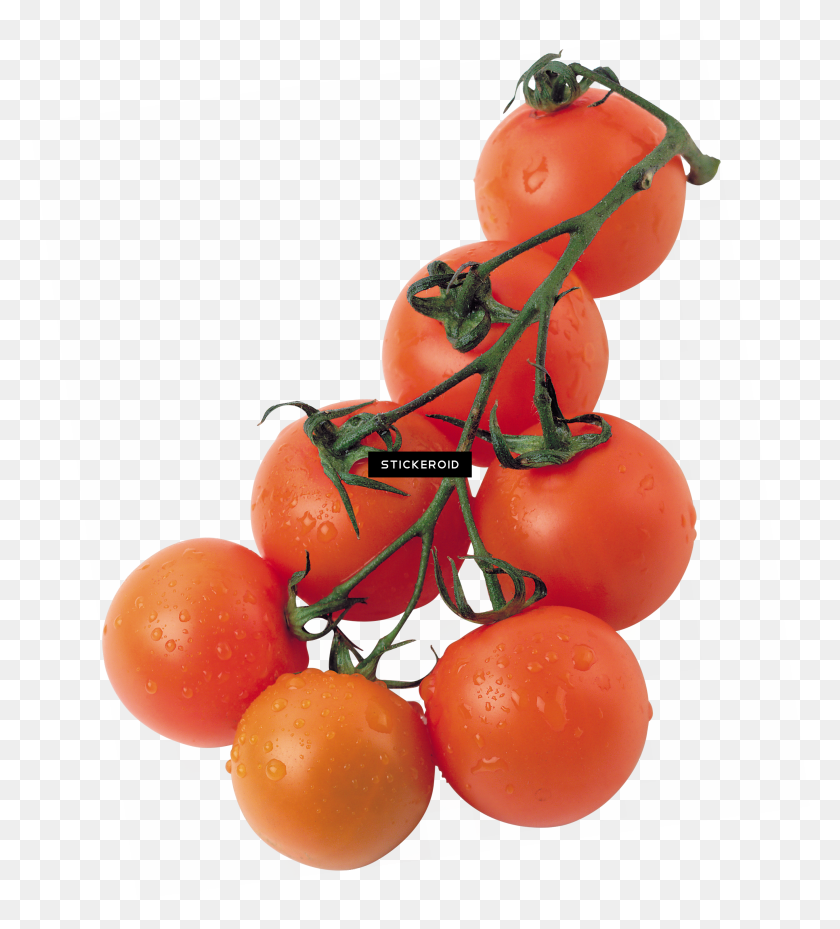 2712x3022 Tomates Png - Planta De Tomate Png