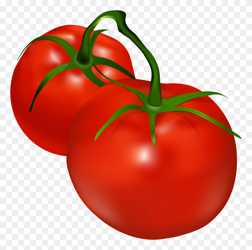8000x7942 Tomatoes Transparent Png Clip - Vegetable Border Clipart