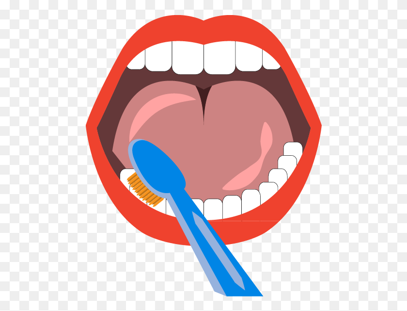 488x581 Tooth Brushing Teeth Cleaning Mouth Euclidean Vector - Teeth PNG