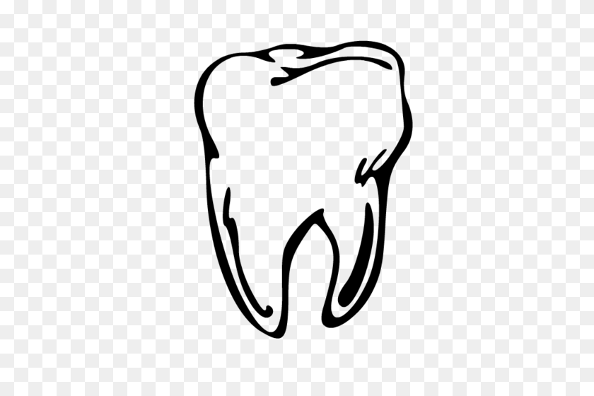 500x500 Tooth Molar Clip Art Free Vector In Open Office Drawing - Free Tooth Clipart