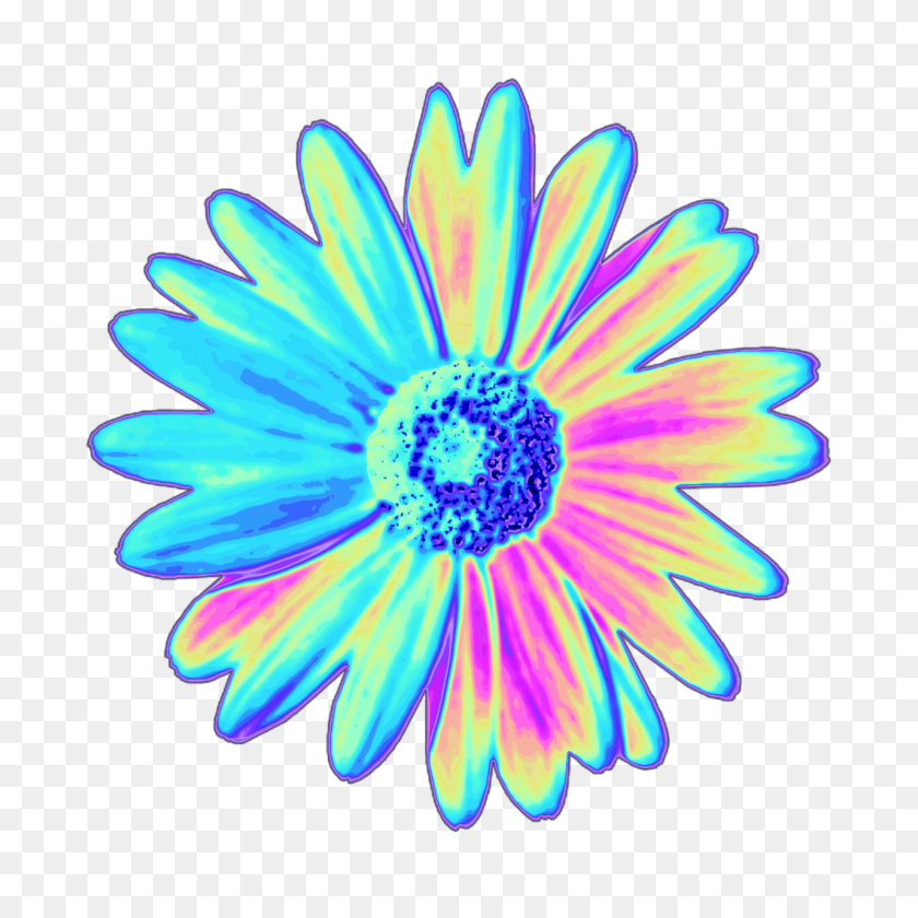 1280x1280 Top Holographic - Tumblr Flower PNG