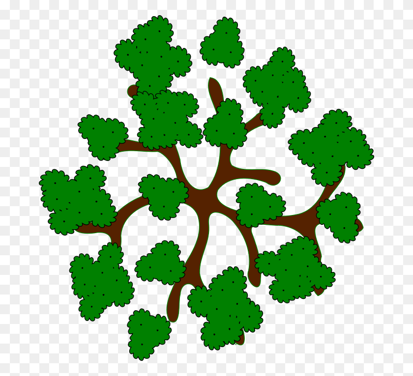 682x706 Top Of Tree Clipart - Arbor Day Clipart