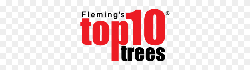 300x178 Top Trees Fleming - Árbol Desde Arriba Png