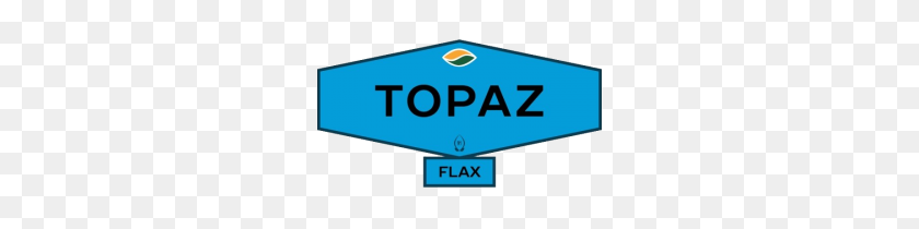 300x150 Topaz - Topaz PNG