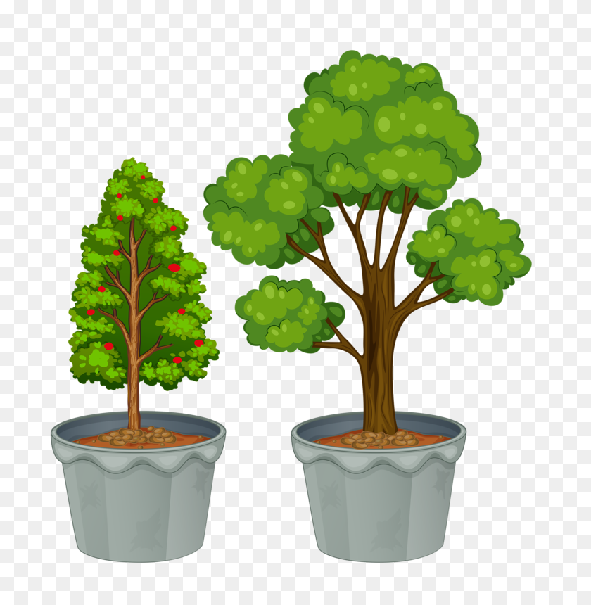 746x800 Topiary My Garden Valley Topiary - Topiary Clipart