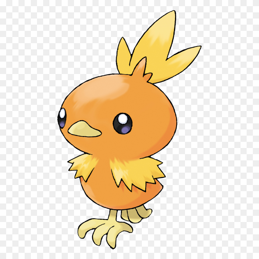 1038x1038 Torchic - Blaziken PNG