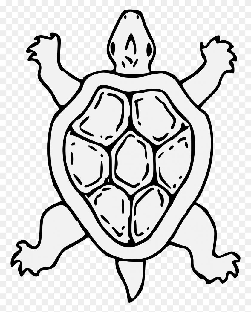 1162x1466 Tortoise - Tortoise PNG