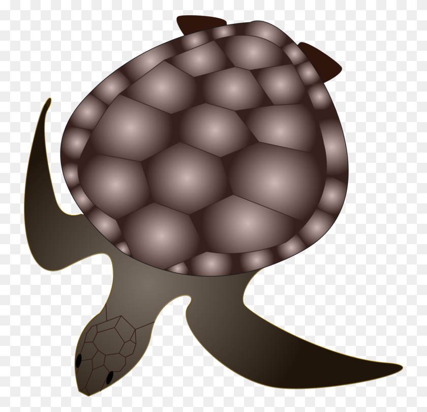 746x750 Черепаха Зеленая Морская Черепаха Рептилия - Морская Выдра Клипарт