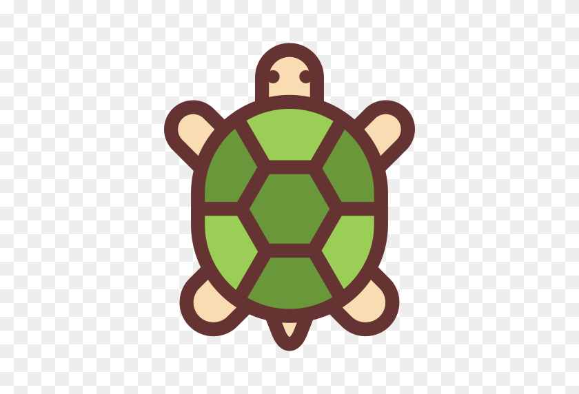 512x512 Tortoise, Multicolor, Lovely Icon With Png And Vector Format - Tortoise PNG