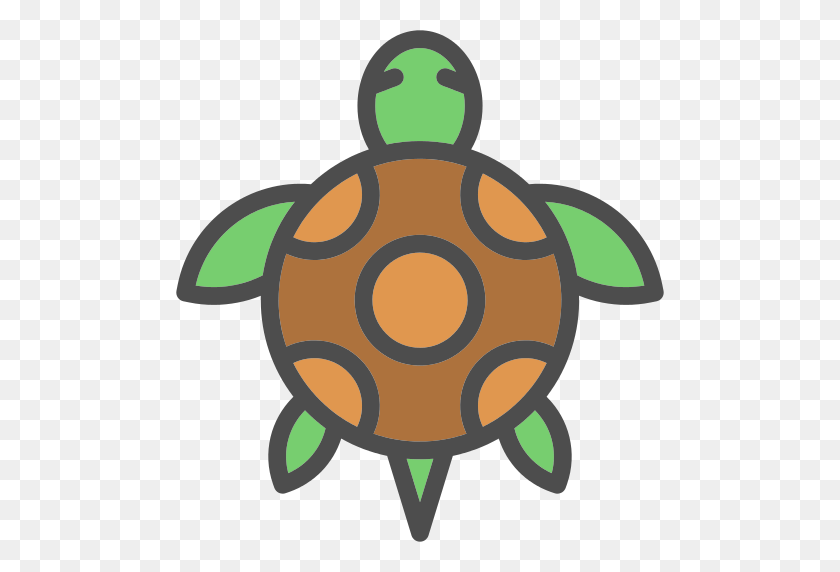 512x512 Tortoise Png Icon - Tortoise PNG