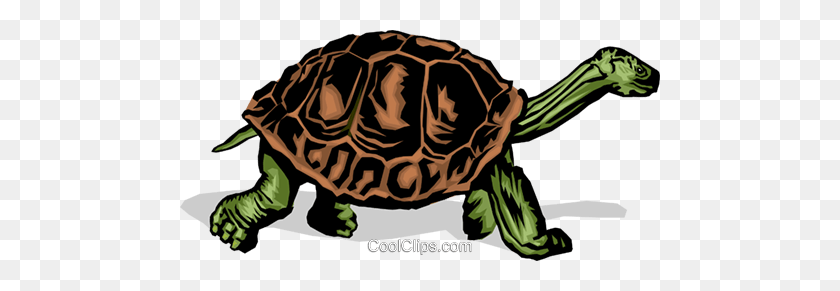 480x231 Tortoise Royalty Free Vector Clip Art Illustration - Tortoise Clipart