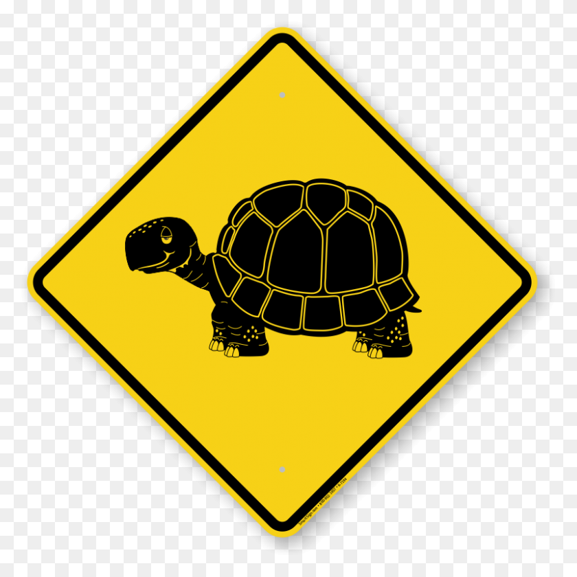 800x800 Tortoise Symbol Sign - Tortoise PNG