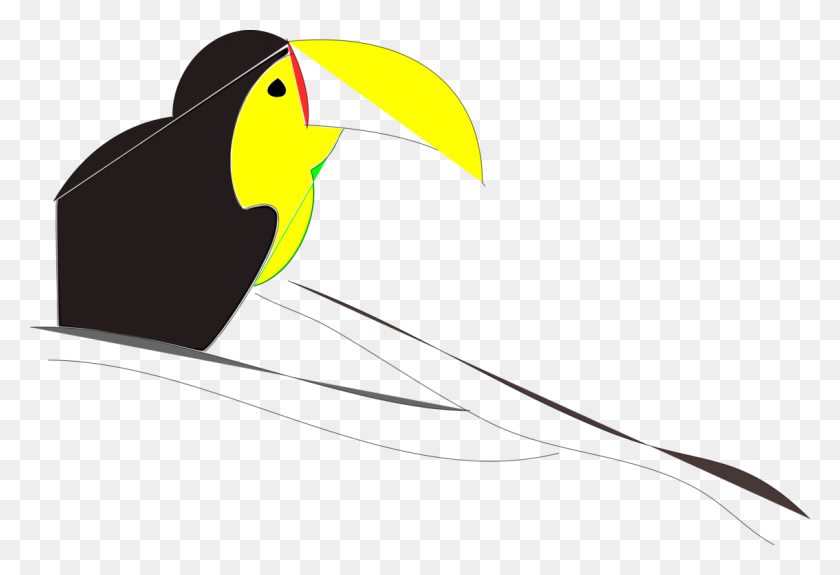 1134x750 Toucan Beak Neck - Toucan Clipart