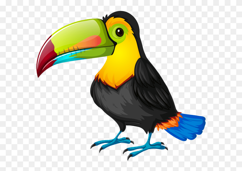 600x533 Toucan Clipart Cute Baby - Toucan Clipart Black And White