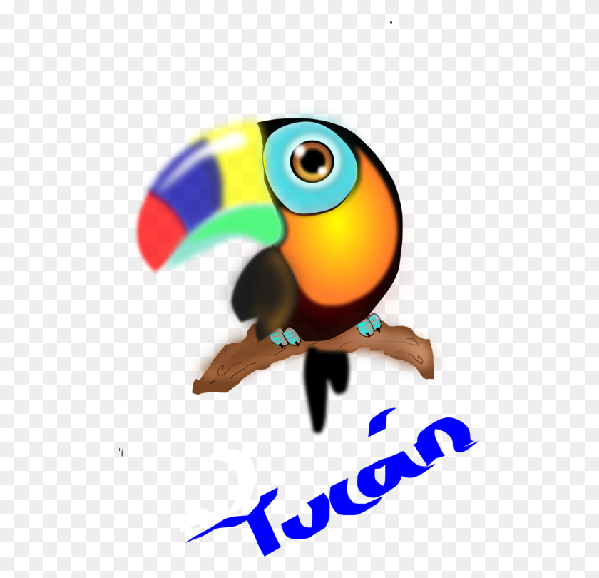505x750 Toucan Parrot Colombia Computer Icons Beak - Pirate Parrot Clipart
