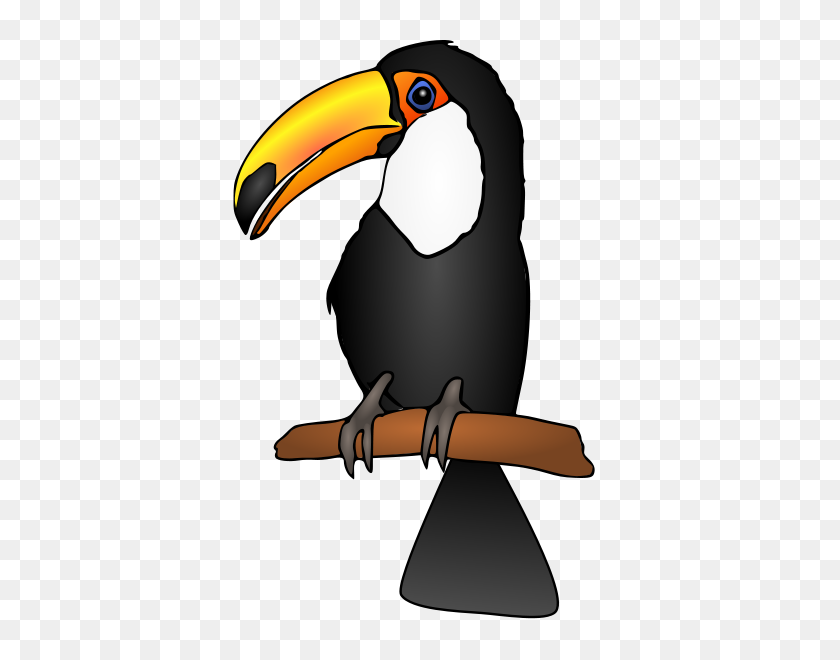424x600 Toucan Png Clip Arts For Web - Tucan PNG