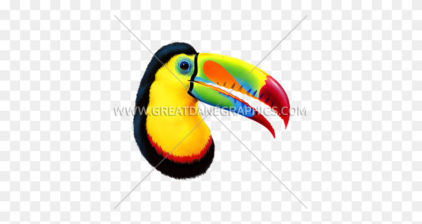 385x385 Toucan Production Ready Artwork For T Shirt Printing - Toucan PNG