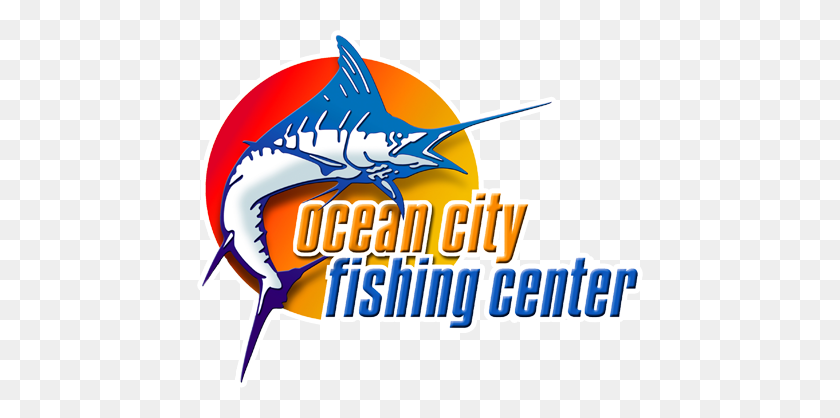 446x358 Torneos Ocean City Fishing Center Md Marina Charter Barcos - Platija Png