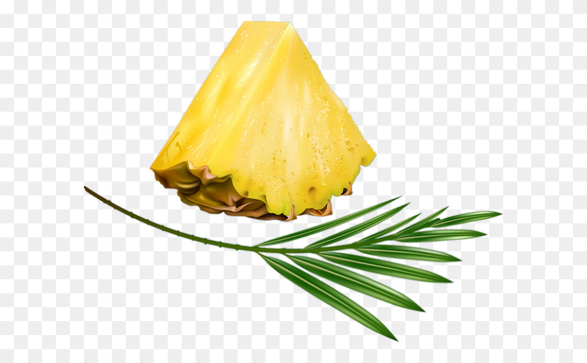 600x460 Tranche D'ananas Tubo De Fruta - Pina Png