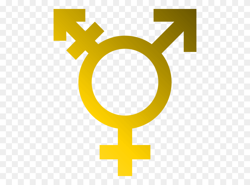 480x560 Transgender Symbolism - Transgender Symbol PNG