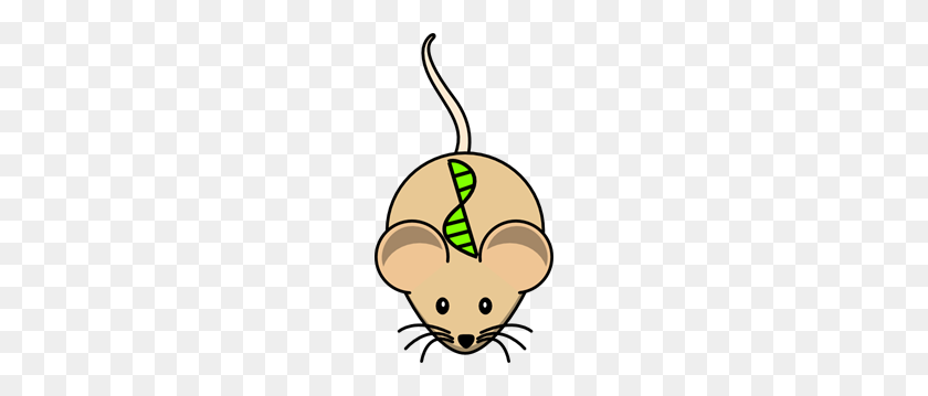 162x299 Transgenic Mouse Png, Clip Art For Web - Mouse PNG Icon