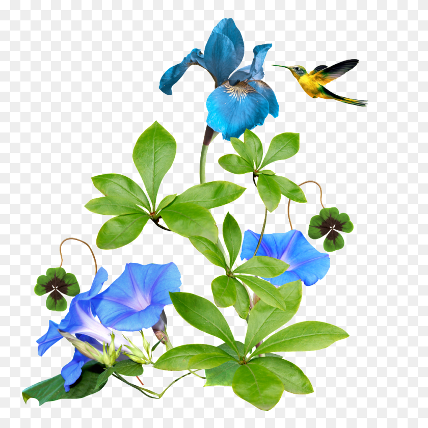 1024x1024 Transparent Background Of Flowers And Herbs Free Png Download - Herbs PNG
