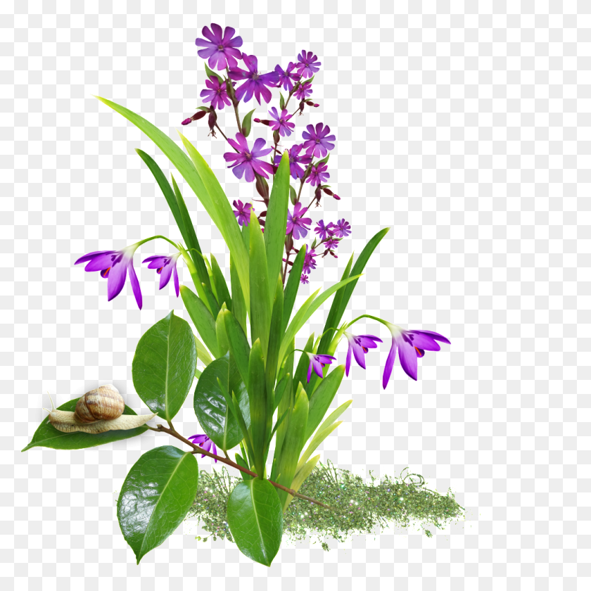 1024x1024 Transparent Background Of Orchid Free Png Download Png Vector - PNG Orchids