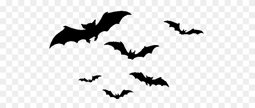 516x297 Transparent Bats - Bats PNG