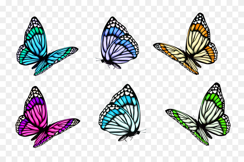 8165x5229 Transparent Butterfly Clipart - Butterfly PNG Images