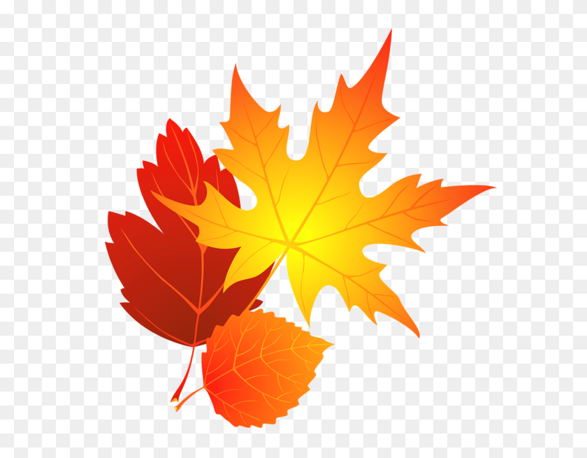 600x595 Transparent Fall Leaves - Free Fall Leaves Clip Art