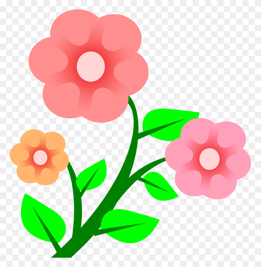 777x800 Transparent Flower Cliparts Free Download Clip Art - Flowers Clipart Transparent