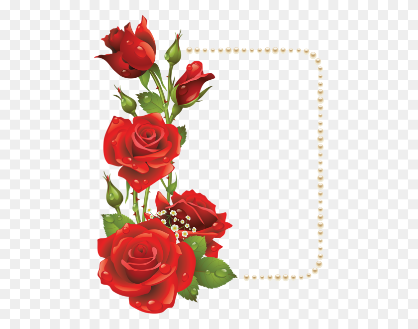 462x600 Marcos Transparentes Marco Transparente Grande Con Rosas Rojas - Rose Vine Png