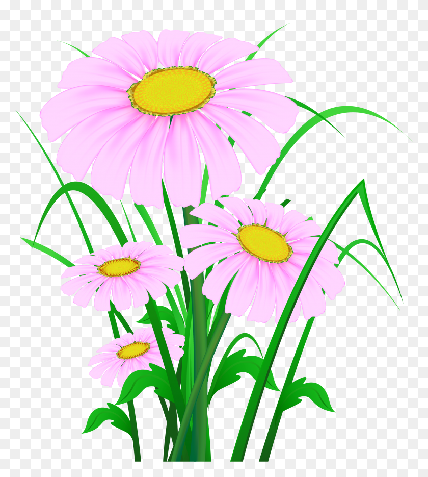 3295x3699 Transparent Pink Daisies Png - Wildflower Clipart