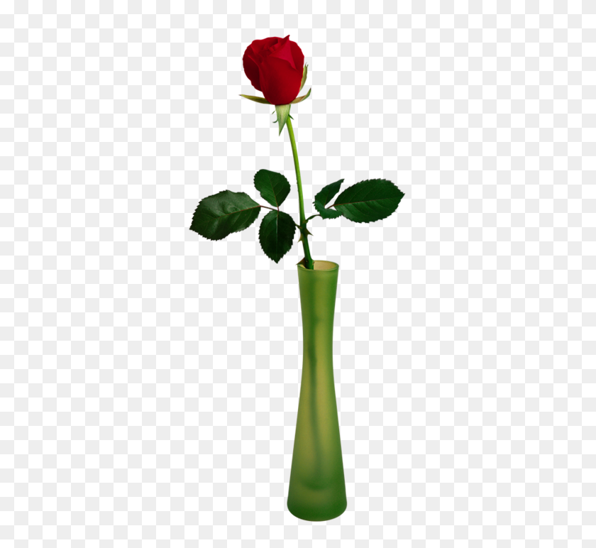 335x712 Transparent Rose In Vase - Vase PNG