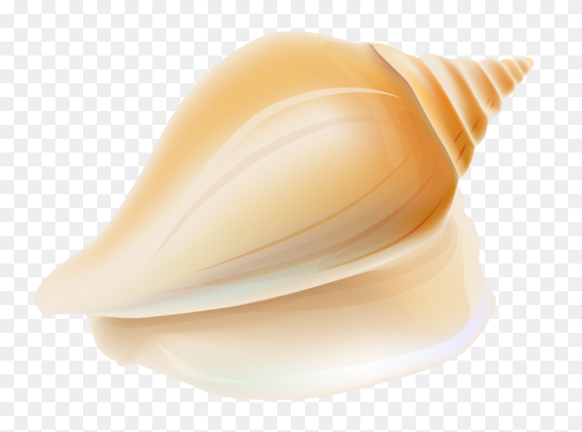1708x1233 Transparent Seashell Png - Sea Shell Clip Art