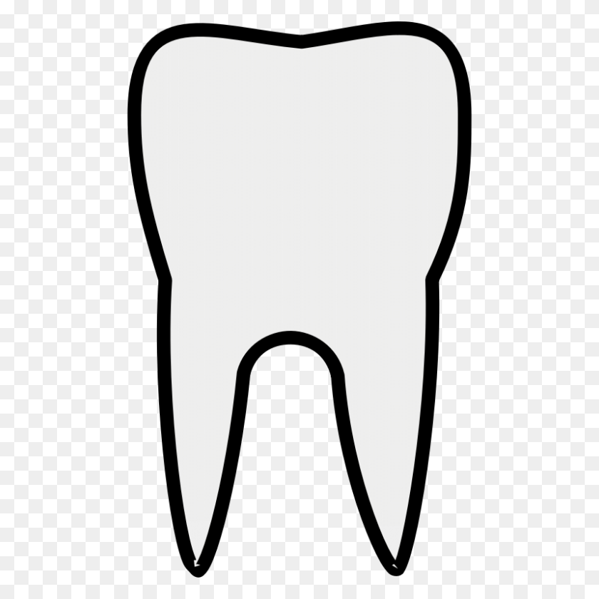 800x800 Transparent Tooth Cliparts - Tooth Outline Clipart