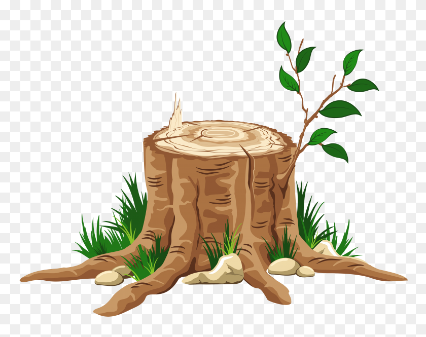 5000x3879 Transparent Tree Stump Png - Tree Stump Clipart