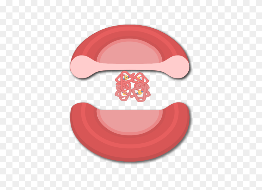 666x550 Transport Of Oxygen In The Blood - Red Blood Cell Clipart